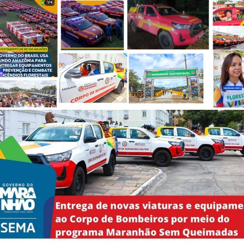 pemmd 15